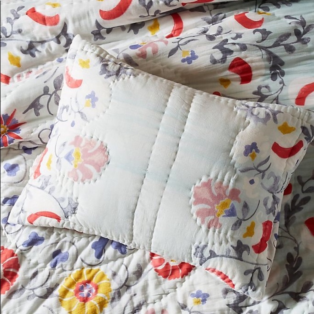 Anthropologie Viviana Shams (set of two)